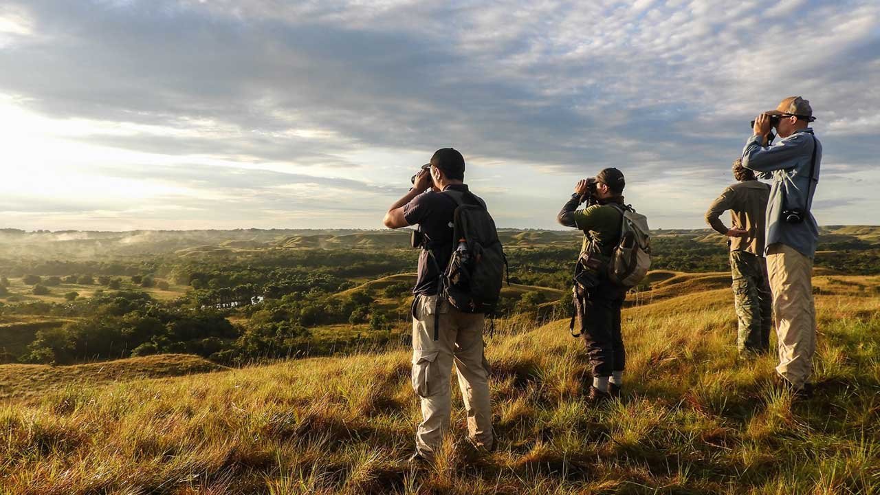 Colombia alcanza cifras récord en ingresos por turismo y transporte aéreo