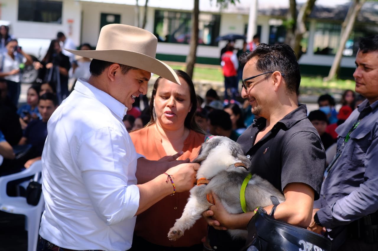 Socialización Clínica Veterinaria